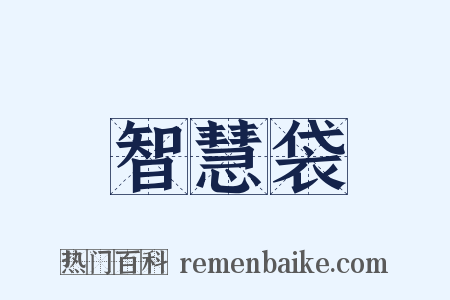 智慧袋是什么意思的图片